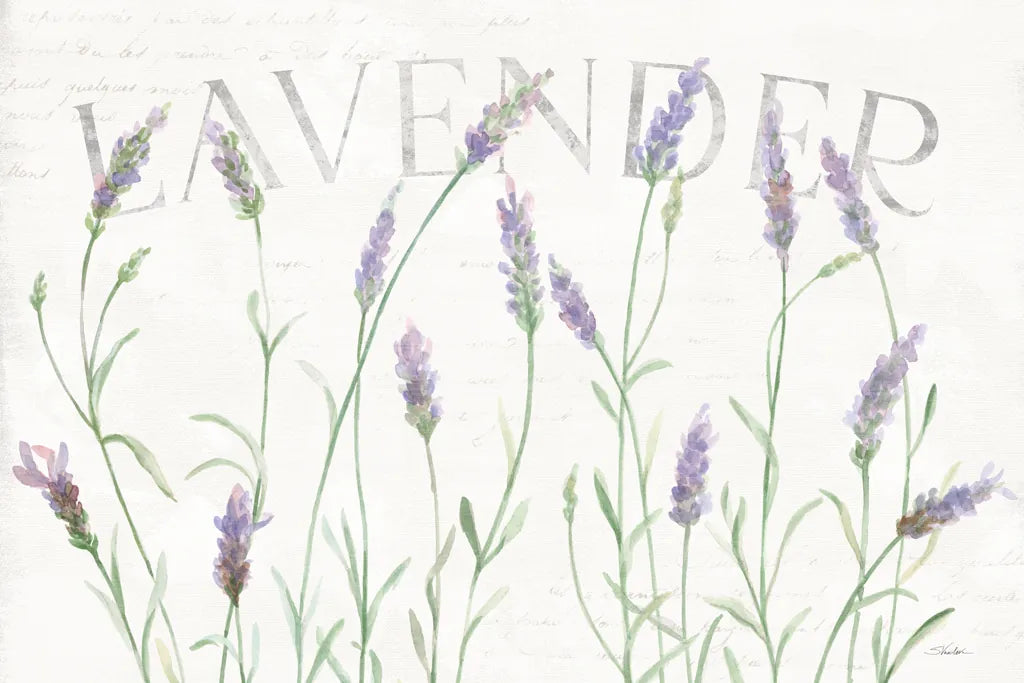 Lavender Fields I by Silvia Vassileva. SKU 95678i. Archival Giclee Fine art print for wall decor.