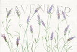 Lavender Fields I by Silvia Vassileva. SKU 95678i. Archival Giclee Fine art print for wall decor.