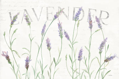 Lavender Fields I by Silvia Vassileva. SKU 95678i. Archival Giclee Fine art print for wall decor.