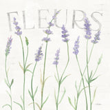 Lavender Fields II by Silvia Vassileva. SKU 95679a. Archival Giclee Fine art print for wall decor.