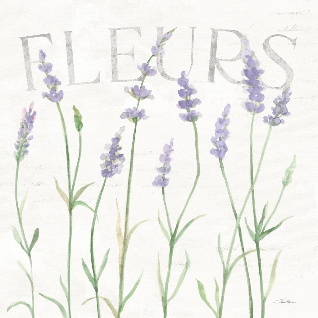 Lavender Fields II by Silvia Vassileva. SKU 95679a. Archival Giclee Fine art print for wall decor.