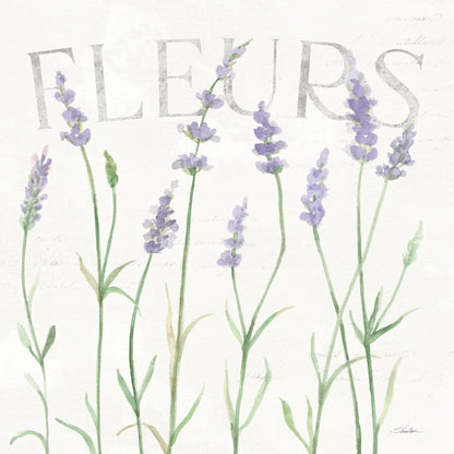 Lavender Fields II by Silvia Vassileva. SKU 95679a. Archival Giclee Fine art print for wall decor.