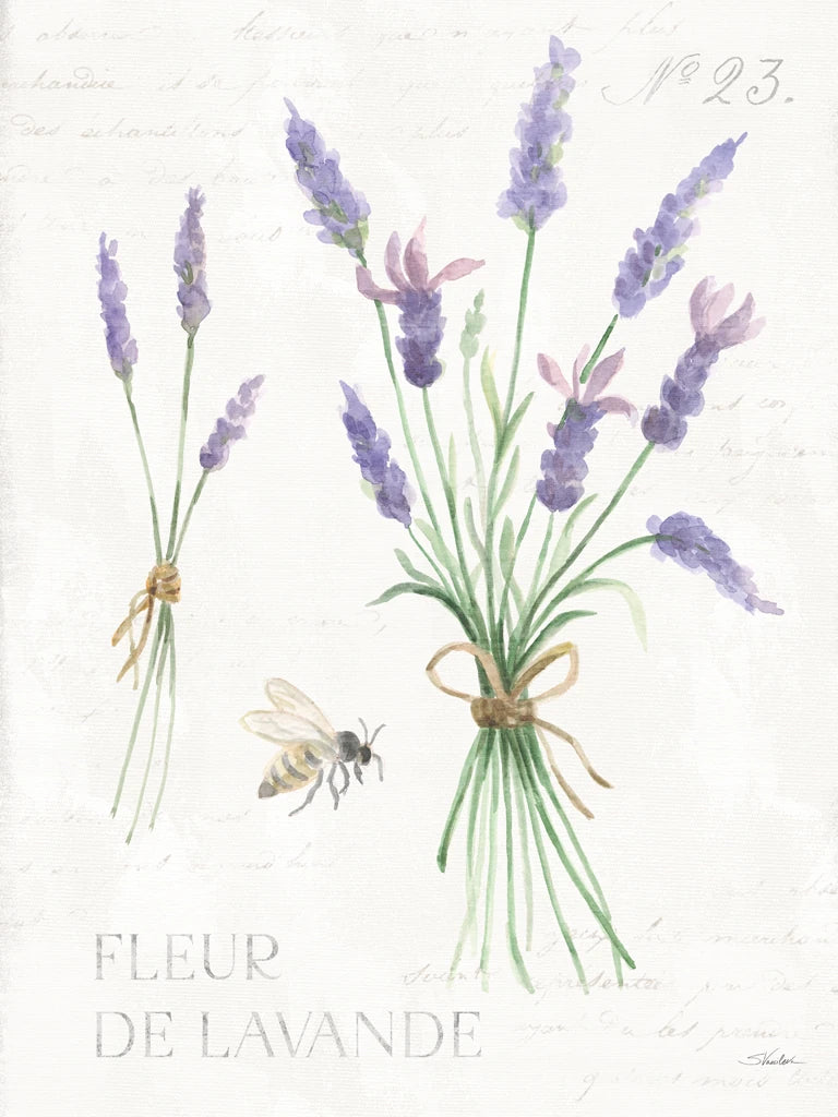 Lavender Fields VIII by Silvia Vassileva