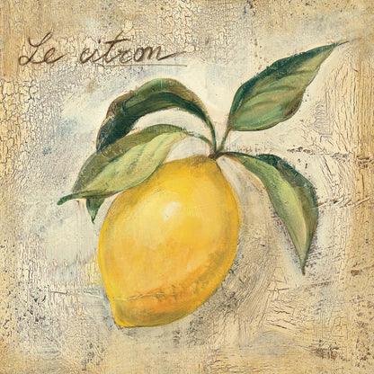 Le Citron by Silvia Vassileva. SKU 9866a. Archival Giclee Fine art print for wall decor.