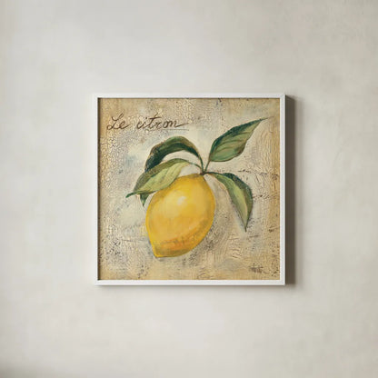 Le Citron by Silvia Vassileva. Shown in a crisp white glass frame for a clean and minimalist style. Available as an archival giclee rolled canvas, fine art paper, or poster print. SKU 9866a.