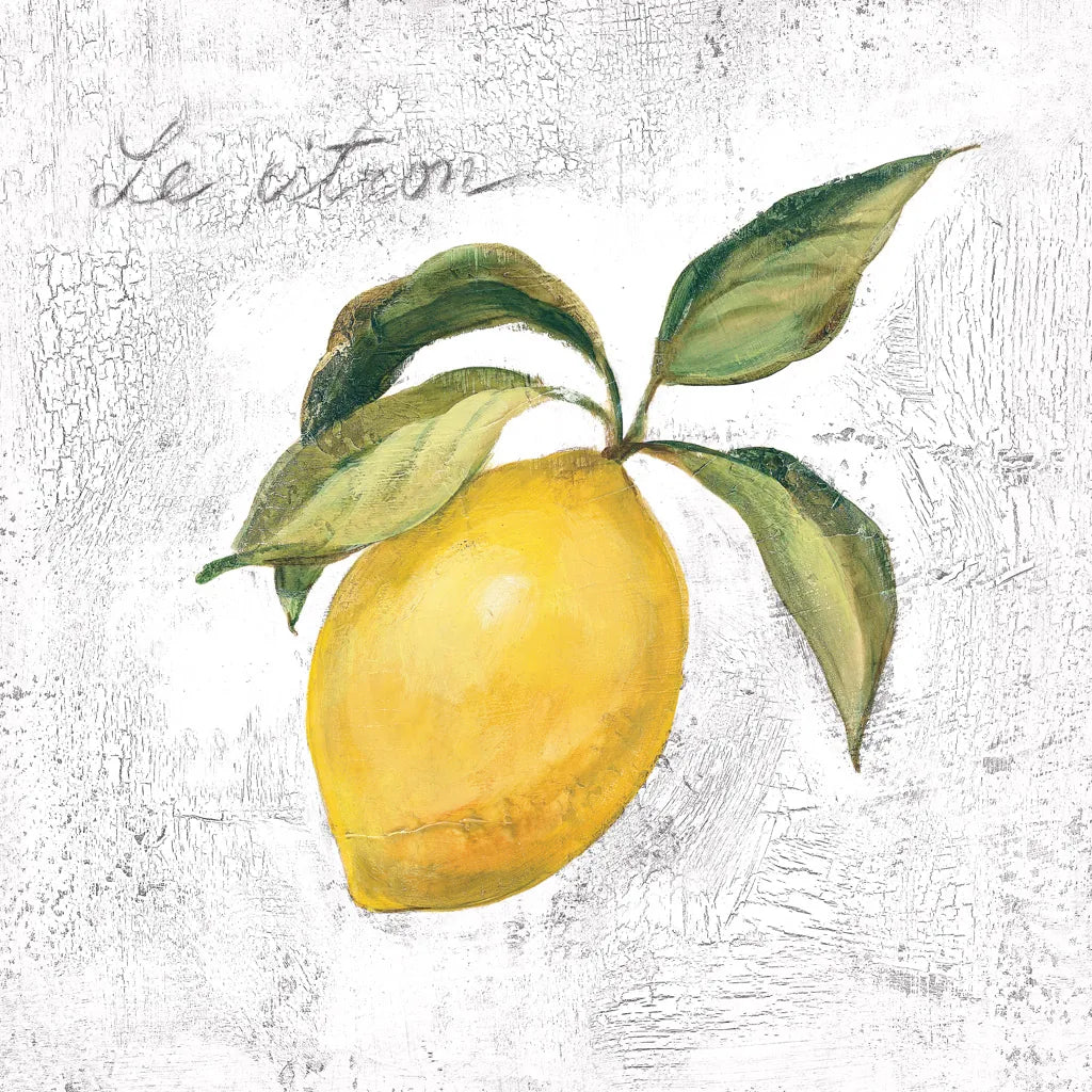 Le Citron on White by Silvia Vassileva. SKU 51426a. Archival Giclee Fine art print for wall decor.