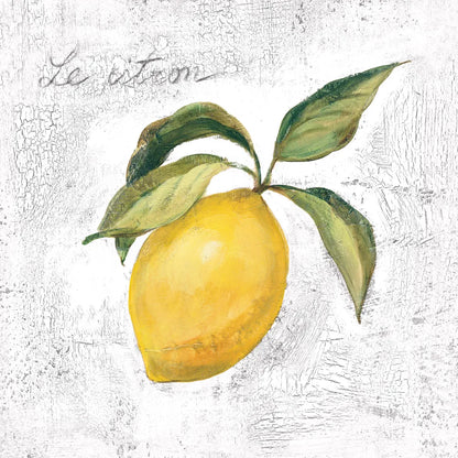 Le Citron on White by Silvia Vassileva. SKU 51426a. Archival Giclee Fine art print for wall decor.
