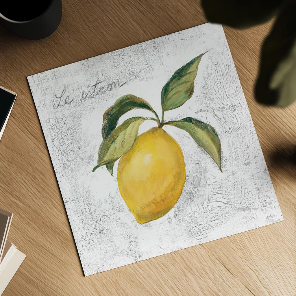 Le Citron on White by Silvia Vassileva. Shown as a detailed flat fine art print, highlighting archival giclee quality. Available as an archival giclee rolled canvas, fine art paper, or poster print. SKU 51426a.