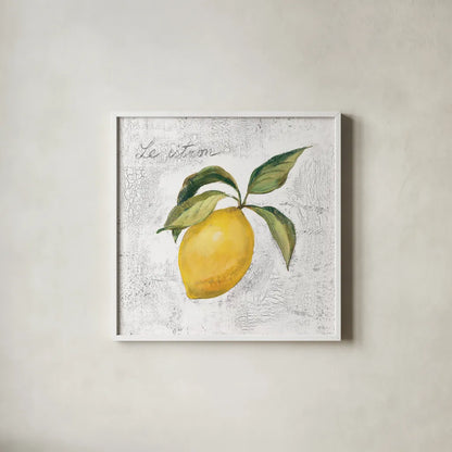 Le Citron on White by Silvia Vassileva. Shown in a crisp white glass frame for a clean and minimalist style. Available as an archival giclee rolled canvas, fine art paper, or poster print. SKU 51426a.