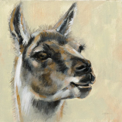 Llama Portrait by Silvia Vassileva. SKU 55652a. Archival Giclee Fine art print for wall decor.
