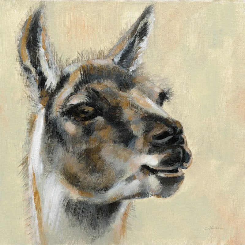 Llama Portrait by Silvia Vassileva. SKU 55652a. Archival Giclee Fine art print for wall decor.