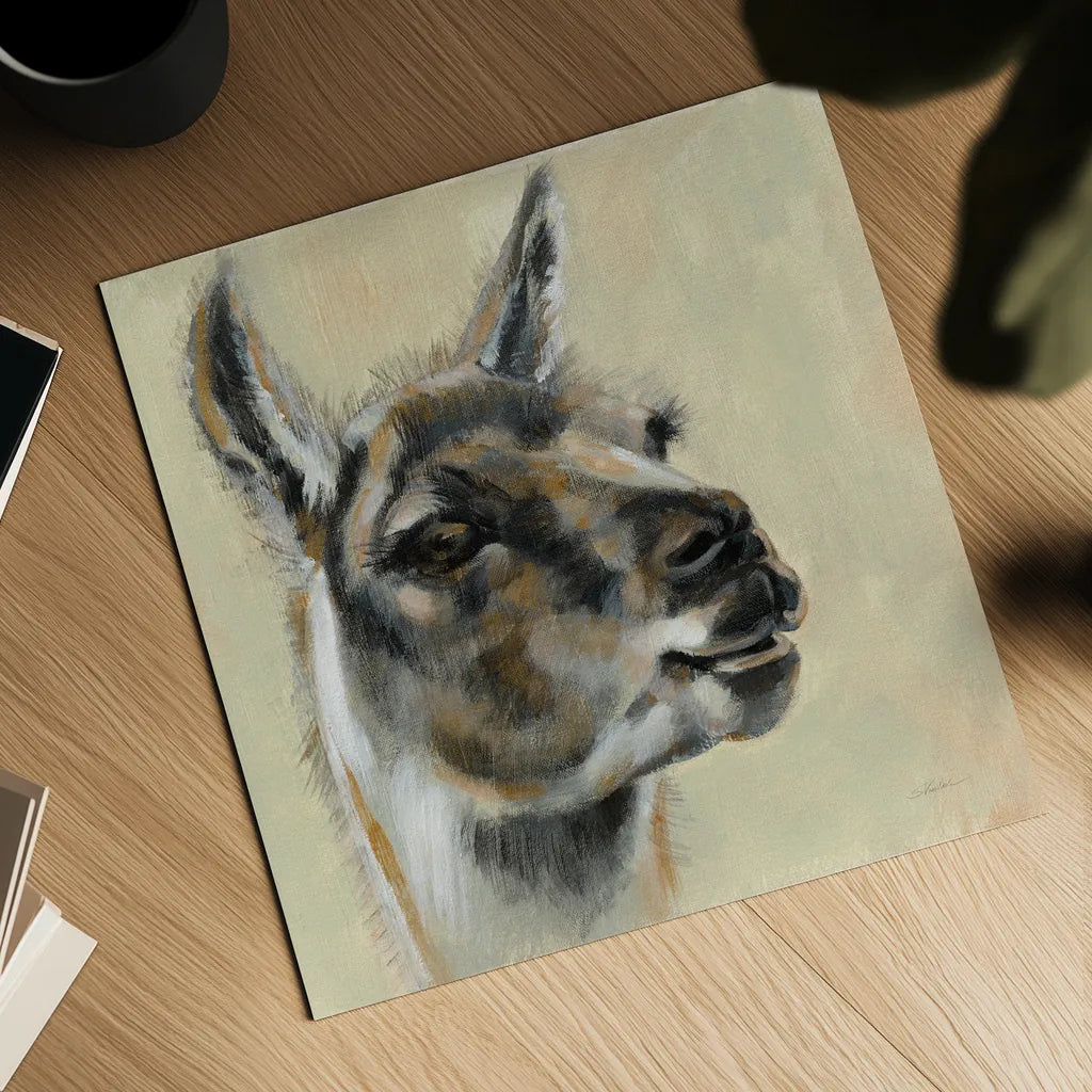 Llama Portrait by Silvia Vassileva. Shown as a detailed flat fine art print, highlighting archival giclee quality. Available as an archival giclee rolled canvas, fine art paper, or poster print. SKU 55652a.