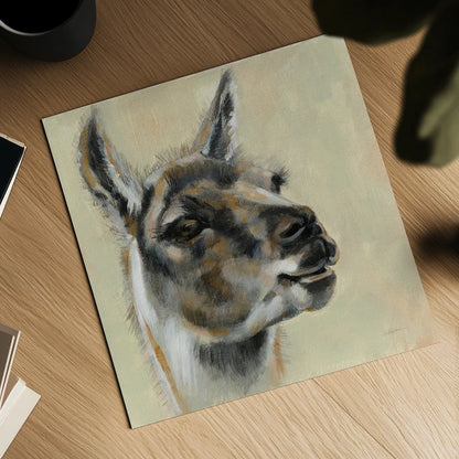 Llama Portrait by Silvia Vassileva. Shown as a detailed flat fine art print, highlighting archival giclee quality. Available as an archival giclee rolled canvas, fine art paper, or poster print. SKU 55652a.