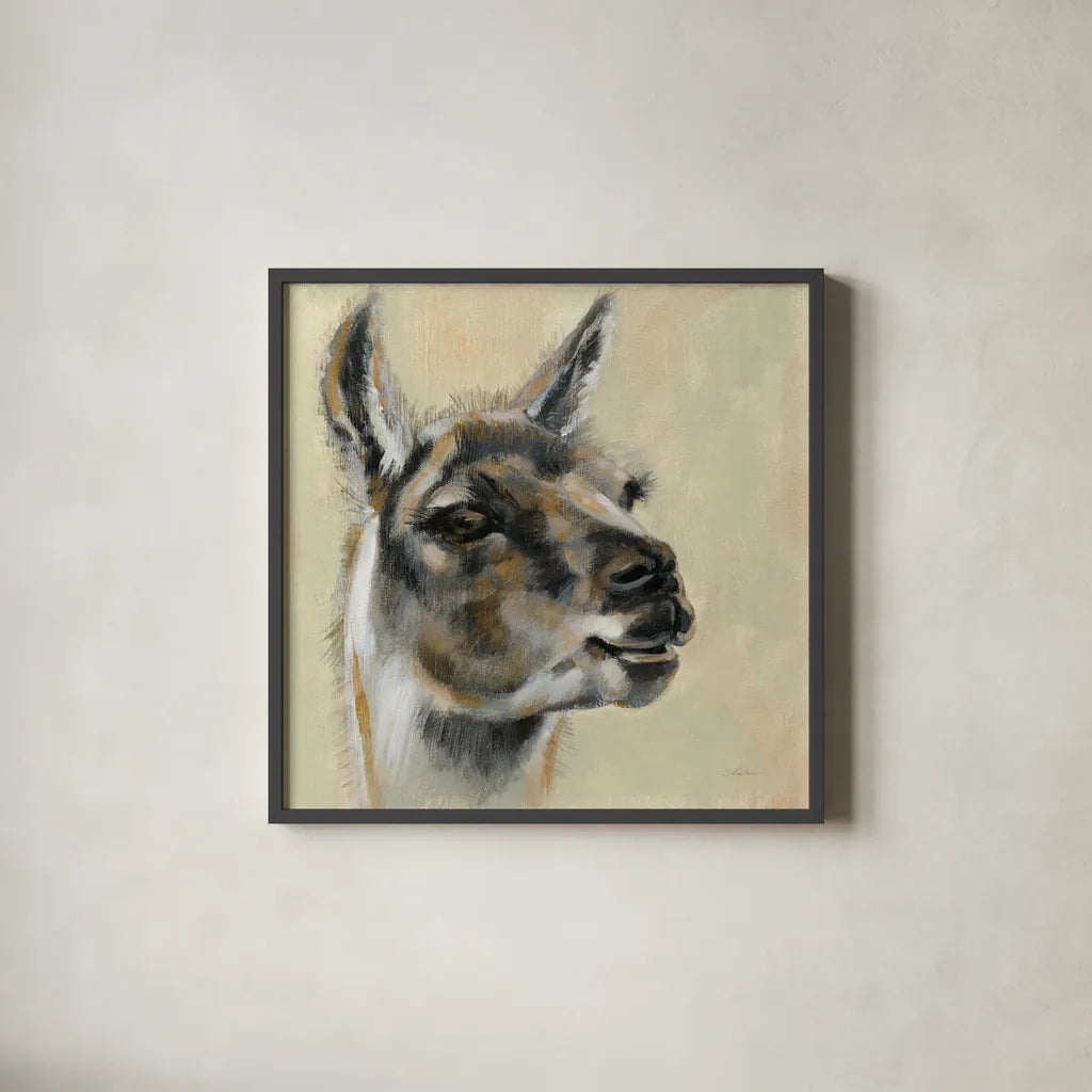Llama Portrait by Silvia Vassileva. Shown in a sleek black glass frame for a contemporary gallery look. Available as an archival giclee rolled canvas, fine art paper, or poster print. SKU 55652a.