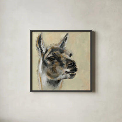 Llama Portrait by Silvia Vassileva. Shown in a sleek black glass frame for a contemporary gallery look. Available as an archival giclee rolled canvas, fine art paper, or poster print. SKU 55652a.
