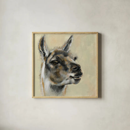 Llama Portrait by Silvia Vassileva. Shown in a natural wood glass frame for a timeless modern aesthetic. Available as an archival giclee rolled canvas, fine art paper, or poster print. SKU 55652a.