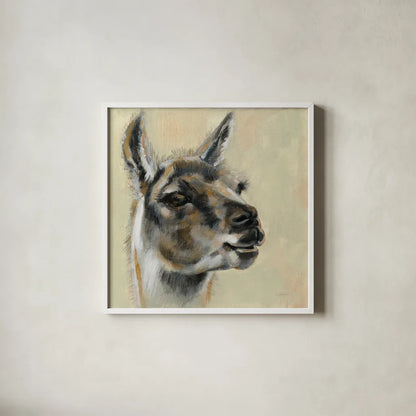 Llama Portrait by Silvia Vassileva. Shown in a crisp white glass frame for a clean and minimalist style. Available as an archival giclee rolled canvas, fine art paper, or poster print. SKU 55652a.