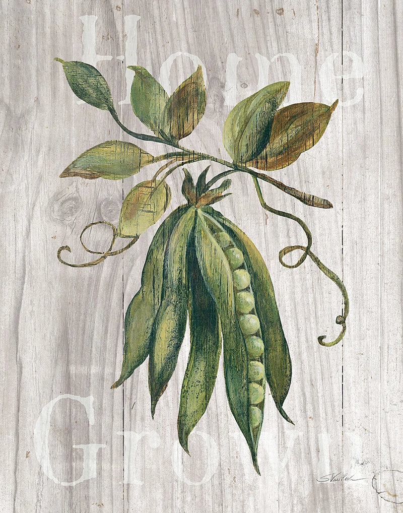 Market Vegetables II on Wood by Silvia Vassileva