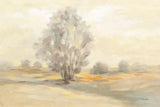 Muted Light by Silvia Vassileva. SKU 77100i. Archival Giclee Fine art print for wall decor.