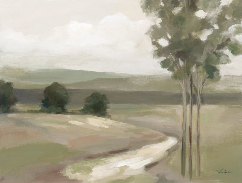 Olive Trees by Silvia Vassileva