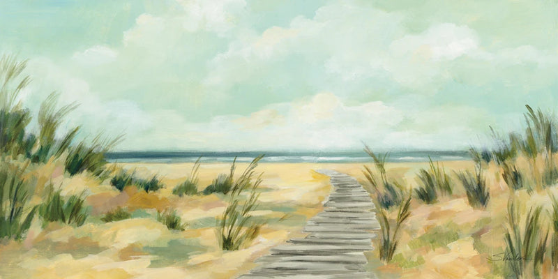 Path Through the Dunes by Silvia Vassileva