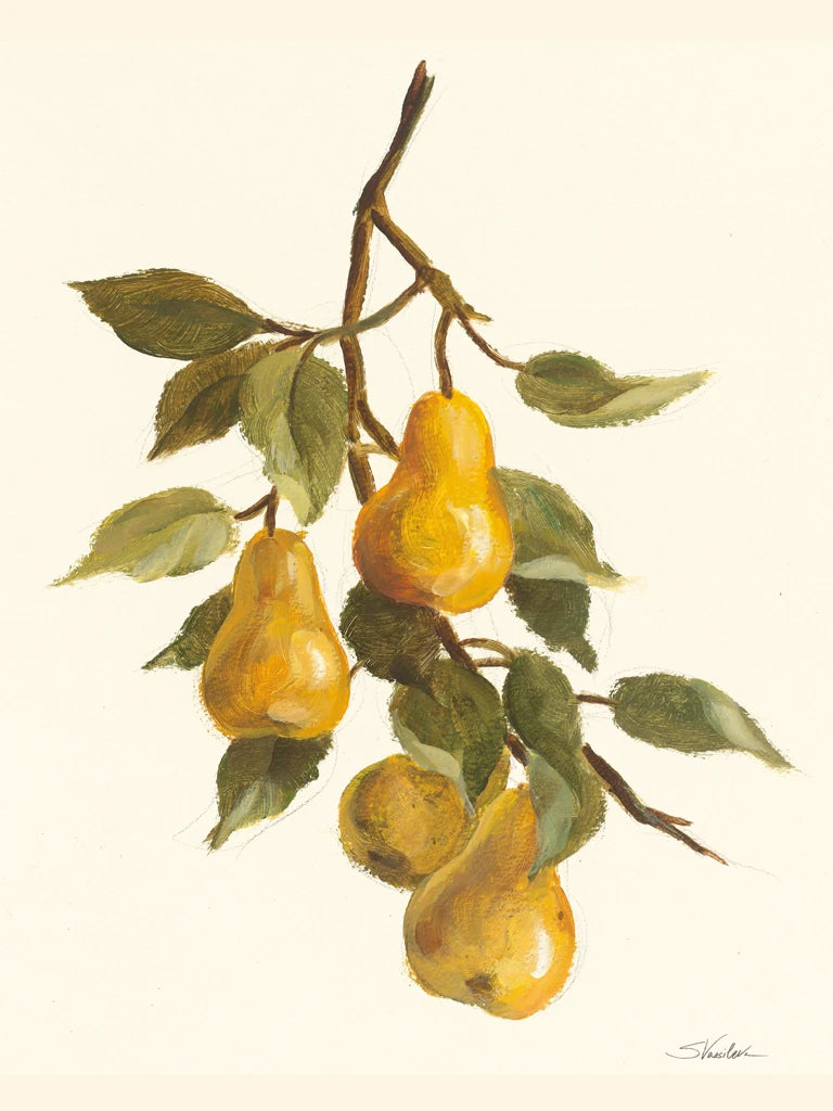 Pear Branch by Silvia Vassileva