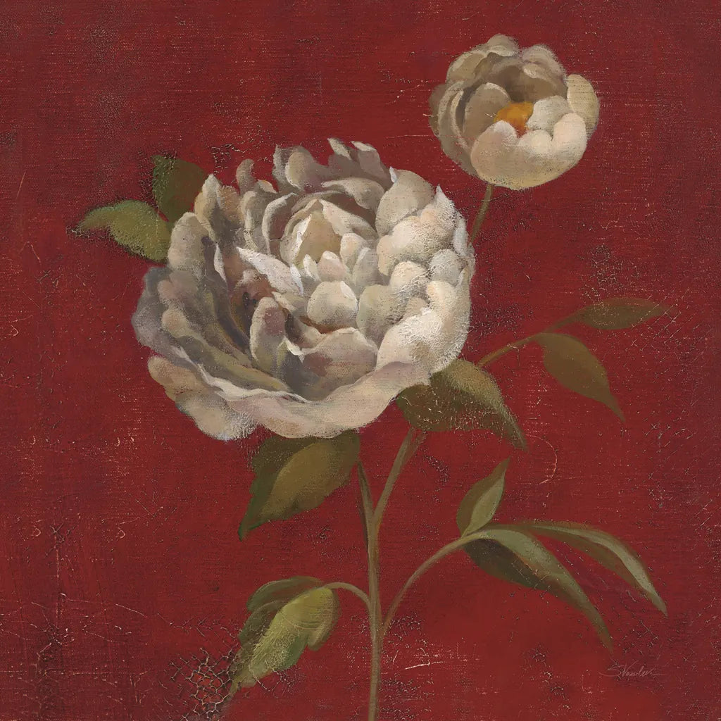 Peony Blooms by Silvia Vassileva. SKU 60334a. Archival Giclee Fine art print for wall decor.