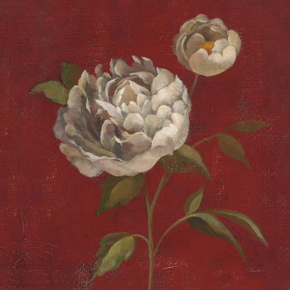 Peony Blooms by Silvia Vassileva. SKU 60334a. Archival Giclee Fine art print for wall decor.