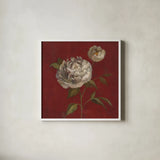 Peony Blooms by Silvia Vassileva. Shown in a crisp white glass frame for a clean and minimalist style. Available as an archival giclee rolled canvas, fine art paper, or poster print. SKU 60334a.