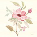 Petals and Blossoms VI by Silvia Vassileva. SKU 46118a. Archival Giclee Fine art print for wall decor.