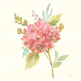 Petals and Blossoms VII by Silvia Vassileva. SKU 46119a. Archival Giclee Fine art print for wall decor.