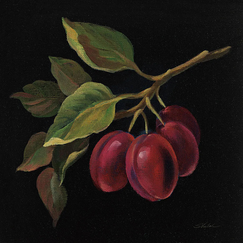 Prune no Words by Silvia Vassileva. SKU 29206a. Archival Giclee Fine art print for wall decor.