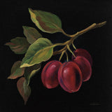 Prune no Words by Silvia Vassileva. SKU 29206a. Archival Giclee Fine art print for wall decor.