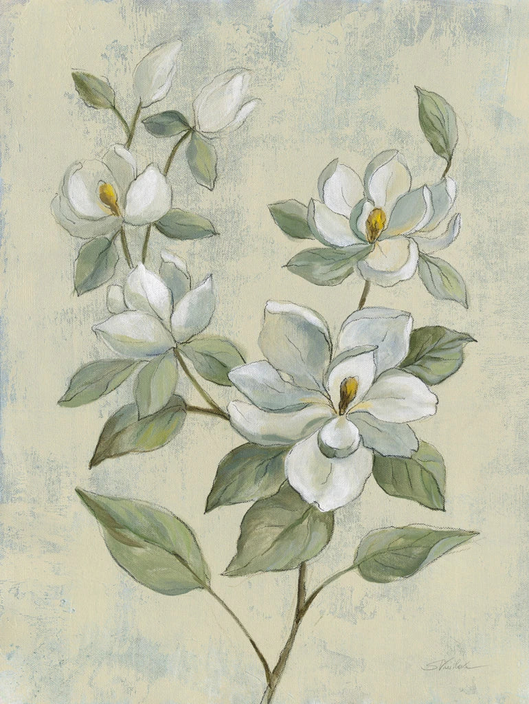 Sage Magnolia by Silvia Vassileva
