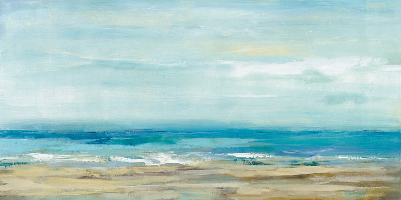 Sea Coast by Silvia Vassileva