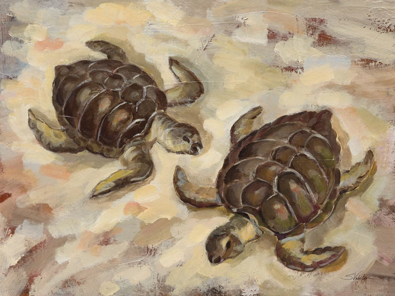Sea Turtles on the Sand by Silvia Vassileva