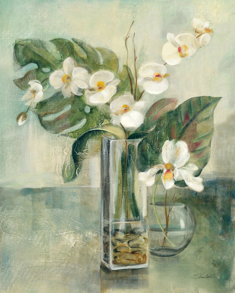 Silver Orchids II by Silvia Vassileva