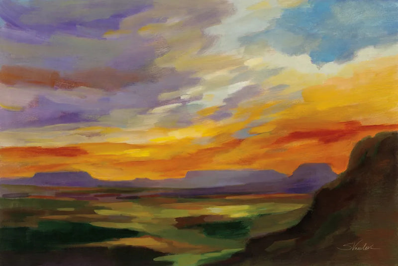Sonoran Desert Sunset by Silvia Vassileva. SKU 70146i. Archival Giclee Fine art print for wall decor.