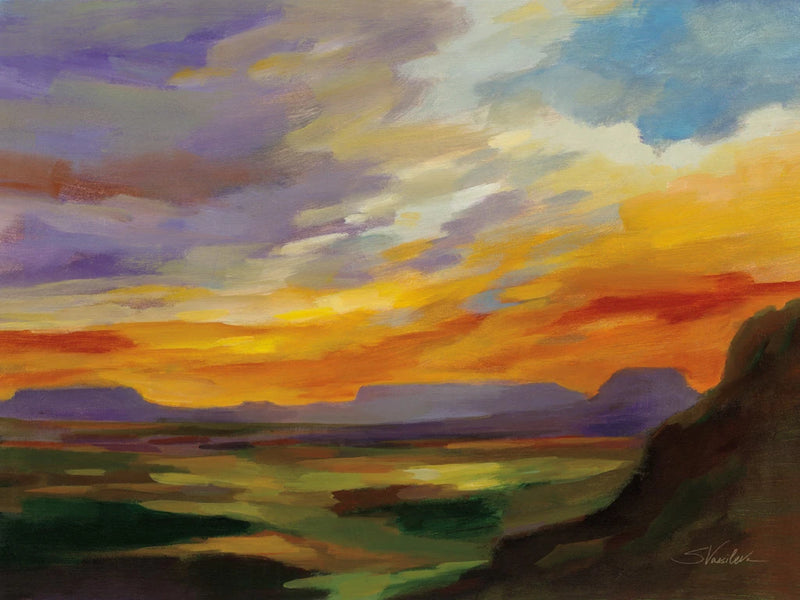 Sonoran Desert Sunset Crop by Silvia Vassileva
