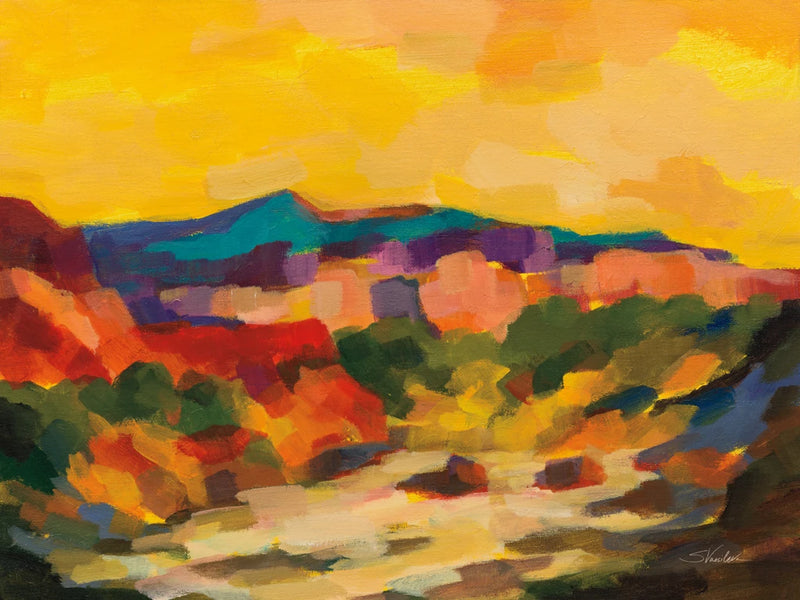 Sonoran View by Silvia Vassileva