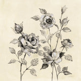 Spring Graphic Floral by Silvia Vassileva. SKU 67426a. Archival Giclee Fine art print for wall decor.