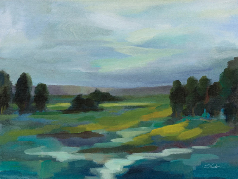 Spring Stream by Silvia Vassileva