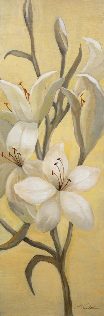 Subtle Lily I by Silvia Vassileva