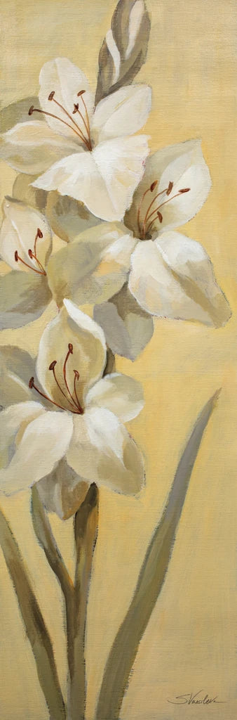 Subtle Lily II by Silvia Vassileva