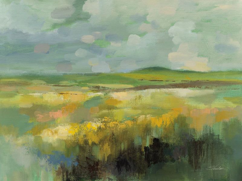 Sunlit Meadow by Silvia Vassileva