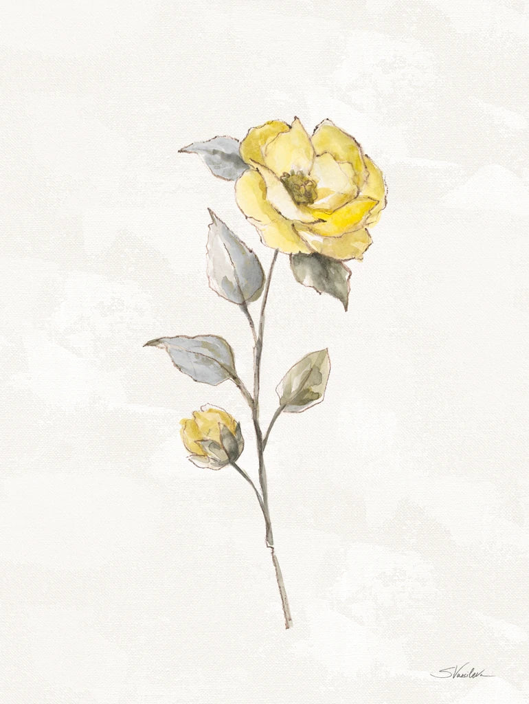 Sunny Roses Flower I by Silvia Vassileva