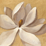 Sunset Flower I on Gold by Silvia Vassileva. SKU 29084a. Archival Giclee Fine art print for wall decor.