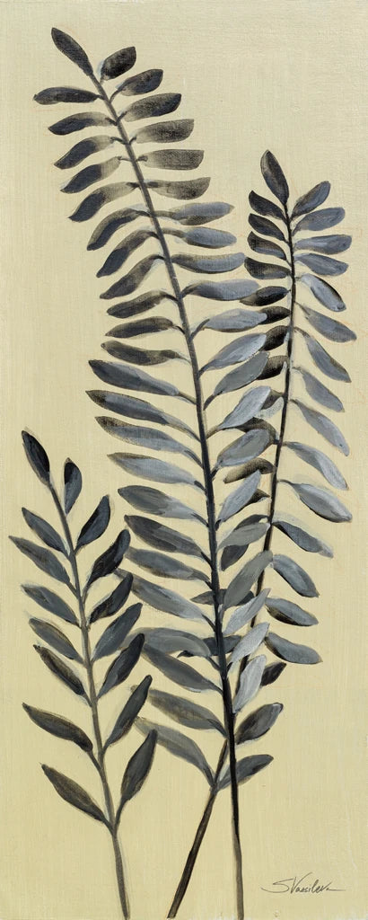 Tall Fern II by Silvia Vassileva