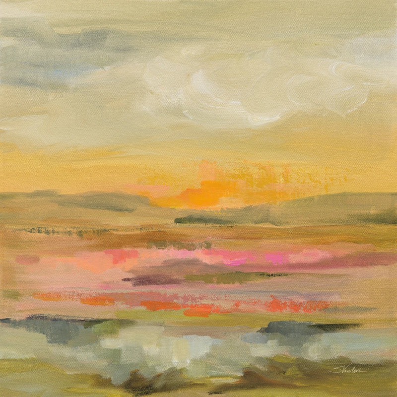 Tangerine Sky by Silvia Vassileva