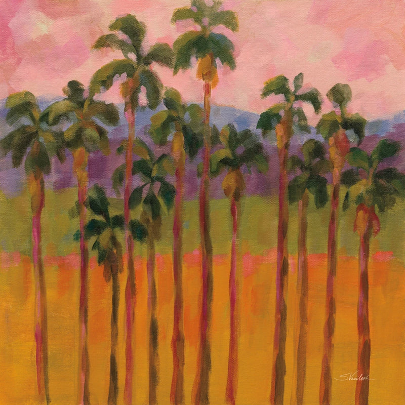 Thousand Palms by Silvia Vassileva